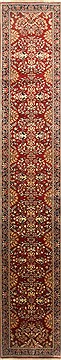 Sarouk Red Runner Hand Knotted 2'5" X 13'10"  Area Rug 250-22373