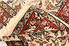 Tabriz Red Hand Knotted 33 X 53  Area Rug 253-22415 Thumb 5
