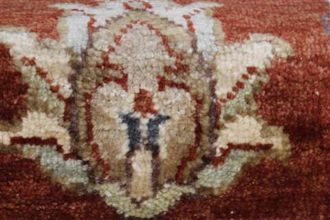 Ziegler Brown Runner Hand Knotted 27 X 121 Area Rug 250-22504 Image 9