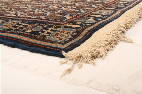 Birjand Red Hand Knotted 46 X 69 Area Rug 100-22530 Image 12