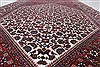 Bidjar Brown Runner Hand Knotted 29 X 910 Area Rug 250-22673 Thumb 6