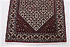 Bidjar Brown Runner Hand Knotted 29 X 910 Area Rug 250-22673 Thumb 9