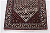 Bidjar Brown Runner Hand Knotted 29 X 910  Area Rug 250-22673 Thumb 9