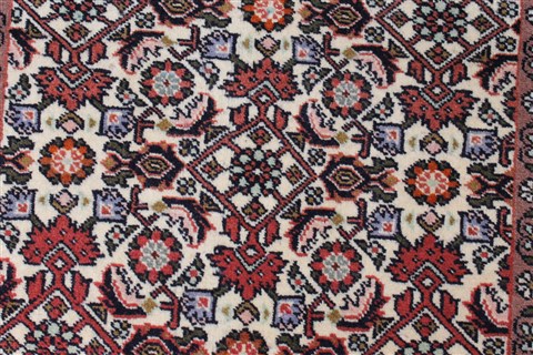 Bidjar Beige Runner Hand Knotted 28 X 97 Area Rug 250-22675 Image 5