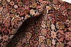 Tabriz Red Hand Knotted 49 X 68 Area Rug 100-22680 Thumb 2