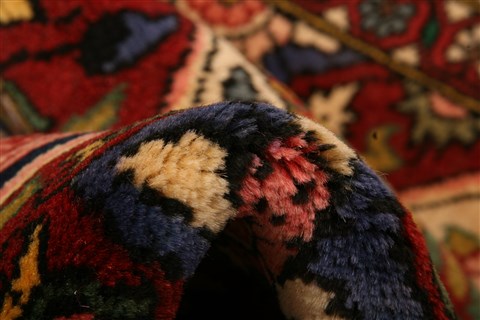 Bakhtiar Red Hand Knotted 50 X 78 Area Rug 100-22759 Image 1