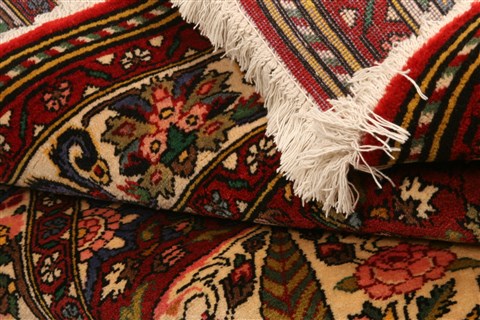 Bakhtiar Red Hand Knotted 50 X 78 Area Rug 100-22759 Image 5