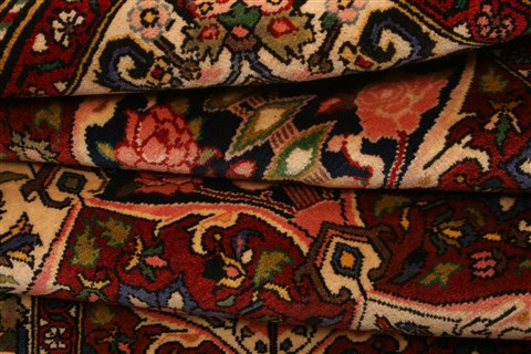 Bakhtiar Red Hand Knotted 50 X 78 Area Rug 100-22759 Image 6