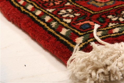 Bakhtiar Red Hand Knotted 50 X 78 Area Rug 100-22759 Image 9