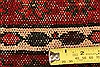 Baluch Blue Hand Knotted 51 X 95 Area Rug 100-22773 Thumb 7