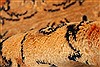 Tabriz Beige Square Hand Knotted 411 X 53 Area Rug 100-22838 Thumb 1