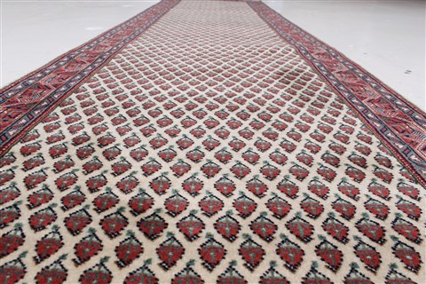 Bidjar Beige Runner Hand Knotted 26 X 101  Area Rug 250-22903 Image 3