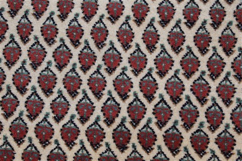 Bidjar Beige Runner Hand Knotted 26 X 101  Area Rug 250-22903 Image 5