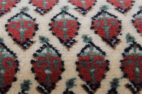Bidjar Beige Runner Hand Knotted 26 X 101  Area Rug 250-22903 Image 8