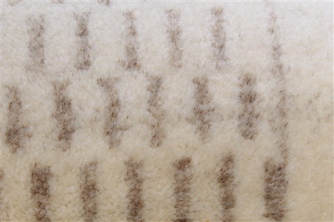 Gabbeh Beige Runner Hand Knotted 27 X 911 Area Rug 250-22951 Image 6