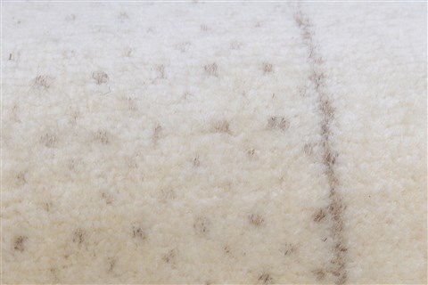 Gabbeh Beige Runner Hand Knotted 25 X 99 Area Rug 250-22990 Image 5