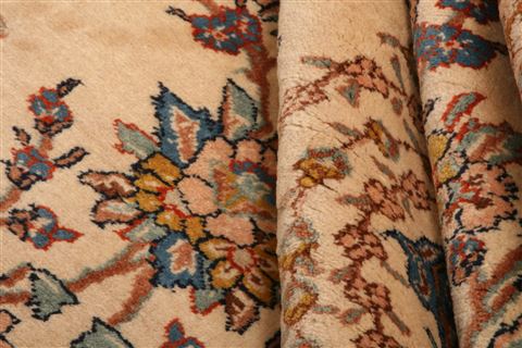 Kashmar Beige Hand Knotted 69 X 98 Area Rug 100-23060 Image 3