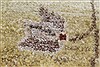 Chobi Yellow Runner Hand Knotted 28 X 911 Area Rug 250-23111 Thumb 8
