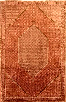 Bidjar Red Hand Knotted 6'7" X 10'0"  Area Rug 100-23200