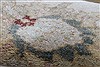 Chobi Beige Runner Hand Knotted 27 X 711 Area Rug 250-23230 Thumb 7