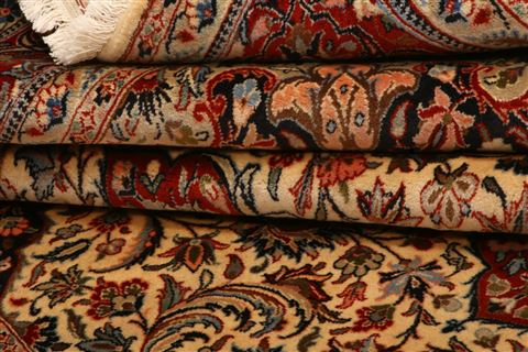Sarouk Beige Hand Knotted 69 X 910 Area Rug 100-23236 Image 6