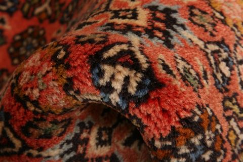 Bidjar Orange Hand Knotted 66 X 911 Area Rug 100-23244 Image 1