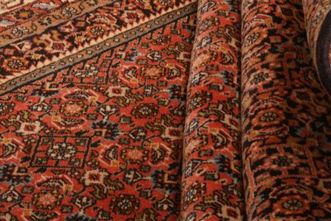 Bidjar Orange Hand Knotted 66 X 911 Area Rug 100-23244 Image 4
