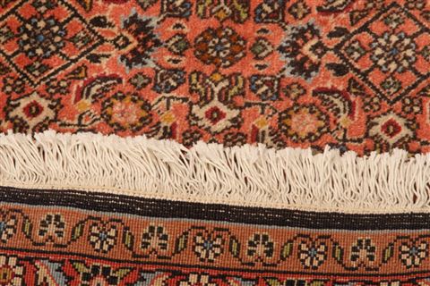 Bidjar Orange Hand Knotted 66 X 911 Area Rug 100-23244 Image 8
