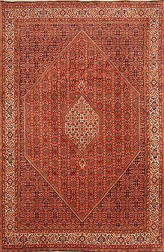 Bidjar Orange Hand Knotted 6'6" X 9'11"  Area Rug 100-23244