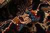 Sarouk Red Hand Knotted 611 X 102 Area Rug 100-23280 Thumb 1