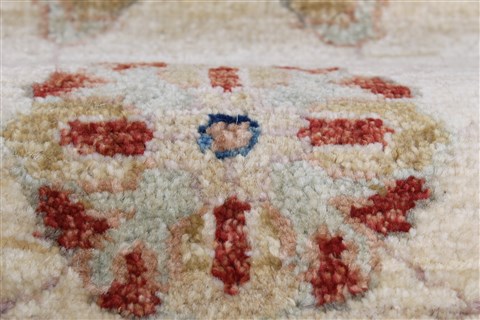 Pishavar Beige Runner Hand Knotted 28 X 86 Area Rug 250-23396 Image 8
