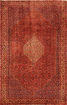 Bidjar Red Hand Knotted 6'7" X 10'3"  Area Rug 100-23408