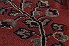 Sarouk Red Octagon Hand Knotted 50 X 50 Area Rug 250-23412 Thumb 7