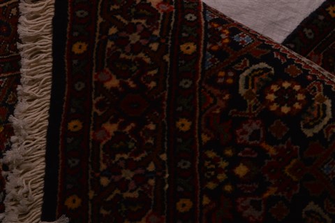 Bidjar Red Hand Knotted 22 X 35  Area Rug 100-23468 Image 3