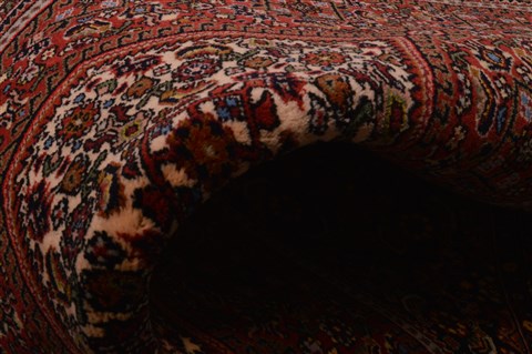 Bidjar Red Hand Knotted 22 X 35  Area Rug 100-23468 Image 4