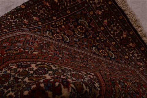 Bidjar Red Hand Knotted 22 X 35  Area Rug 100-23468 Image 5