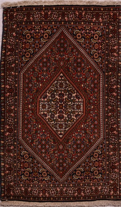 Bidjar Red Hand Knotted 22 X 35  Area Rug 100-23468 Image 0