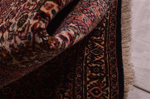 Bidjar Red Hand Knotted 25 X 34  Area Rug 100-23469 Image 1