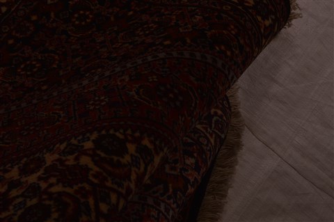 Bidjar Red Hand Knotted 25 X 34  Area Rug 100-23469 Image 2