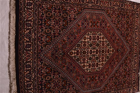 Bidjar Red Hand Knotted 25 X 34  Area Rug 100-23469 Image 4