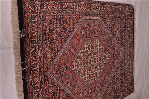 Bidjar Red Hand Knotted 25 X 34  Area Rug 100-23469 Image 5