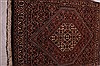Bidjar Red Hand Knotted 25 X 34  Area Rug 100-23469 Thumb 4