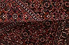 Bidjar Red Hand Knotted 25 X 34  Area Rug 100-23469 Thumb 6