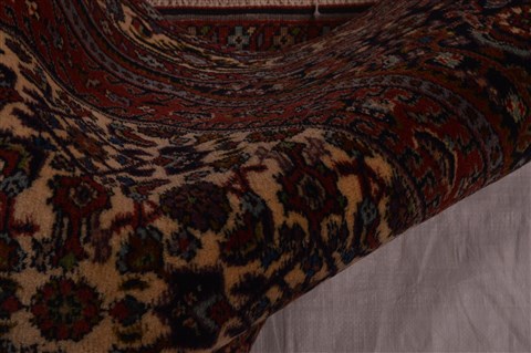 Bidjar Beige Hand Knotted 25 X 32  Area Rug 100-23472 Image 1