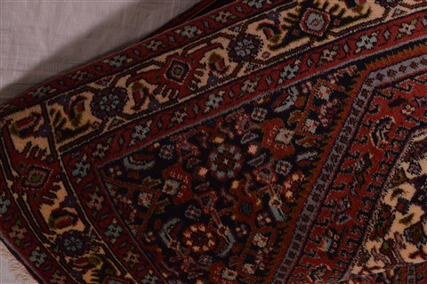 Bidjar Beige Hand Knotted 25 X 32  Area Rug 100-23472 Image 3