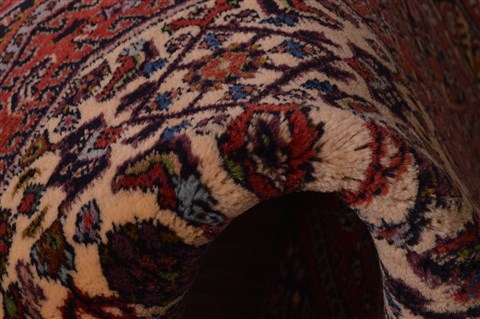 Bidjar Beige Hand Knotted 25 X 32  Area Rug 100-23472 Image 4