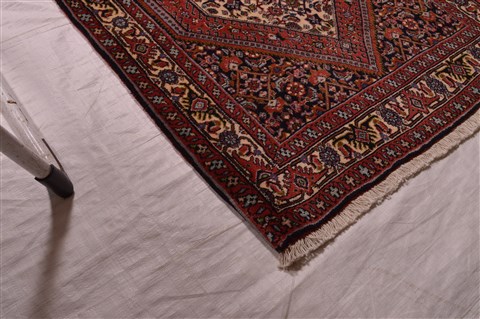 Bidjar Beige Hand Knotted 25 X 32  Area Rug 100-23472 Image 6