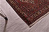 Bidjar Beige Hand Knotted 25 X 32  Area Rug 100-23472 Thumb 6