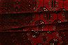 Bokhara Red Runner Hand Knotted 31 X 102 Area Rug 100-23579 Thumb 7