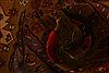 Kazak Brown Runner Hand Knotted 26 X 88 Area Rug 100-23662 Thumb 3
